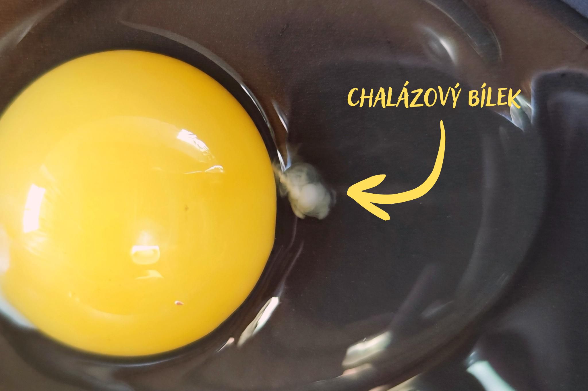 BARVENÁ SLEPIČÍ OVULACE JAKO SYMBOL VELIKONOC ANEB JAK SE DĚLÁ VEJCE?